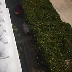 Plavia Biograd Konukevi