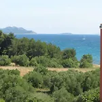 Plavia Biograd 4* Biograd Na Moru